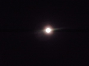 a0281449_00420069.jpg