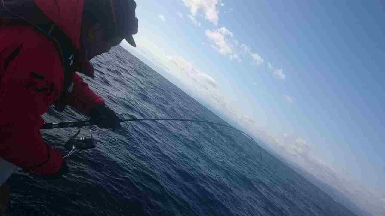 a0248152_1745295.jpg