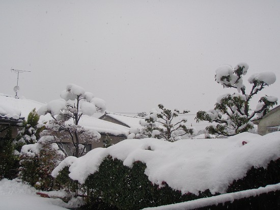 c0327752_23270770.jpg