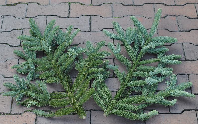 a0001354_2142920.gif