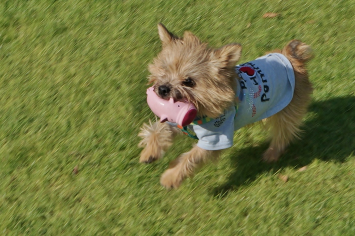 a0267860_16375243.jpg
