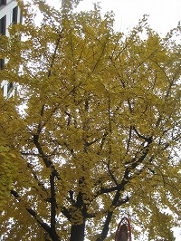 a0093965_2055474.jpg