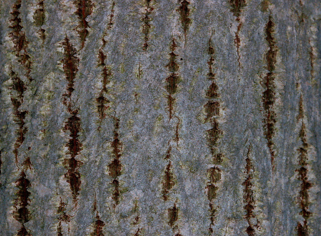 c0305565_17194777.jpg