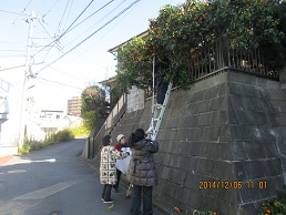 a0055866_012248.jpg