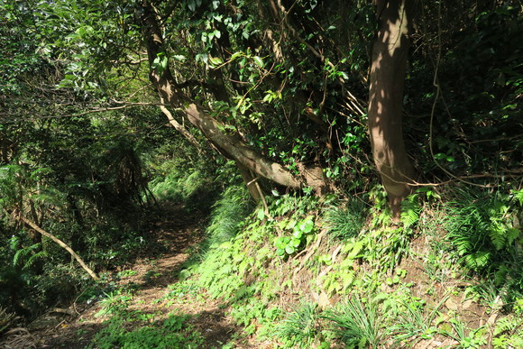 e0292172_2018476.jpg