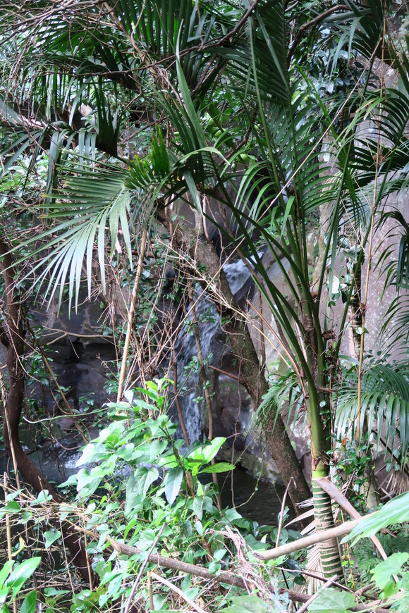 e0292172_20205836.jpg