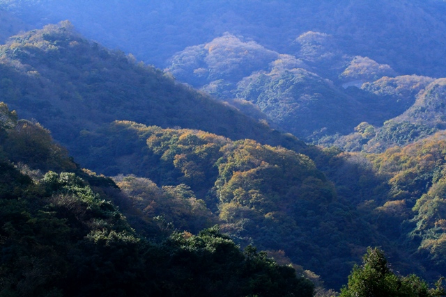 d0126577_21542270.jpg