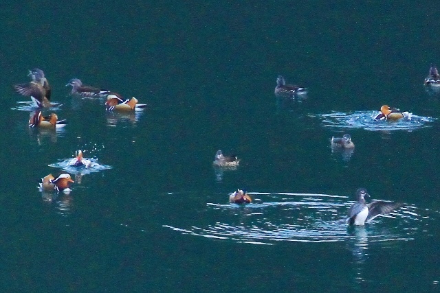 d0126577_21551018.jpg