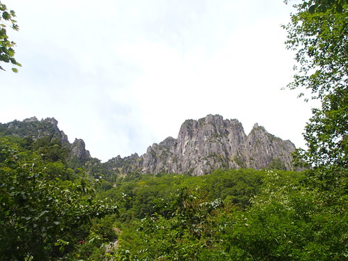 f0223480_15112028.jpg