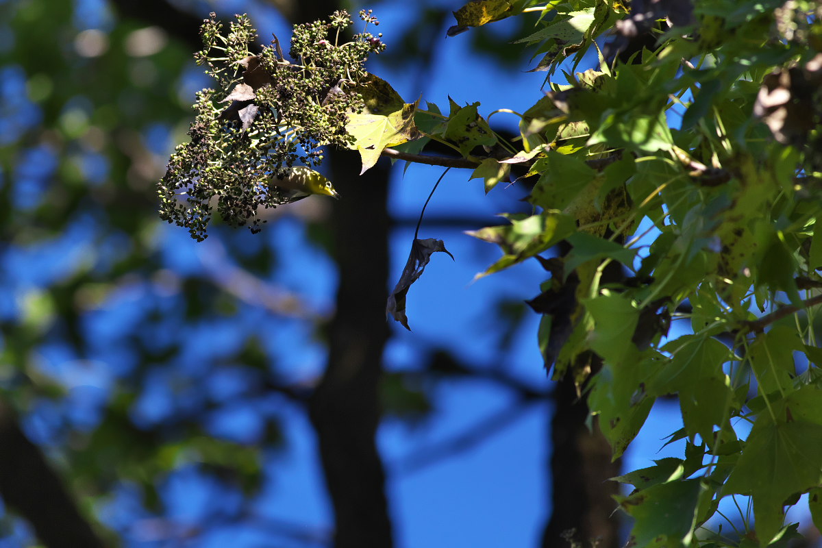 a0083081_7501090.jpg