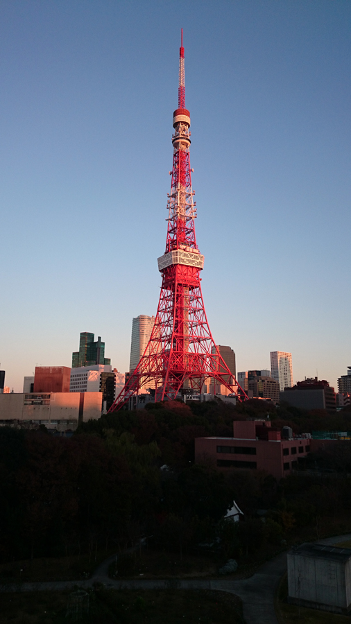 a0141385_1623693.jpg