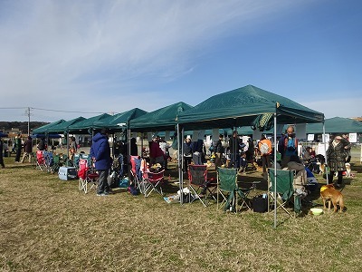 e0222588_16260123.jpg