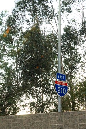 f0245389_1513381.jpg