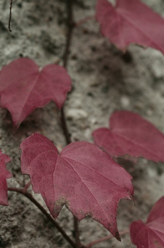 b0119493_022790.jpg