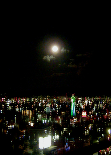 d0053294_22264899.jpg