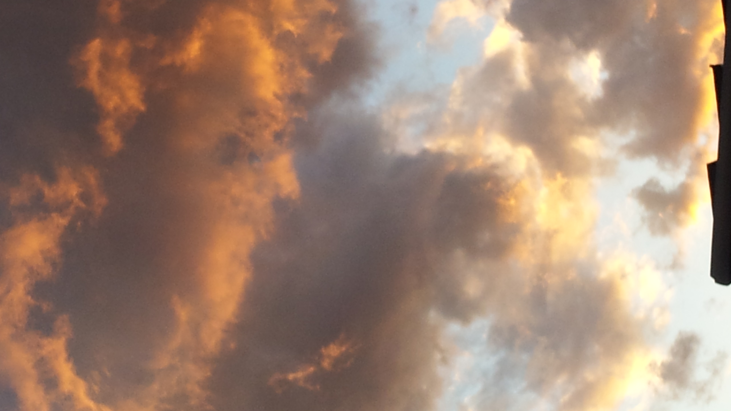 b0172805_335891.jpg