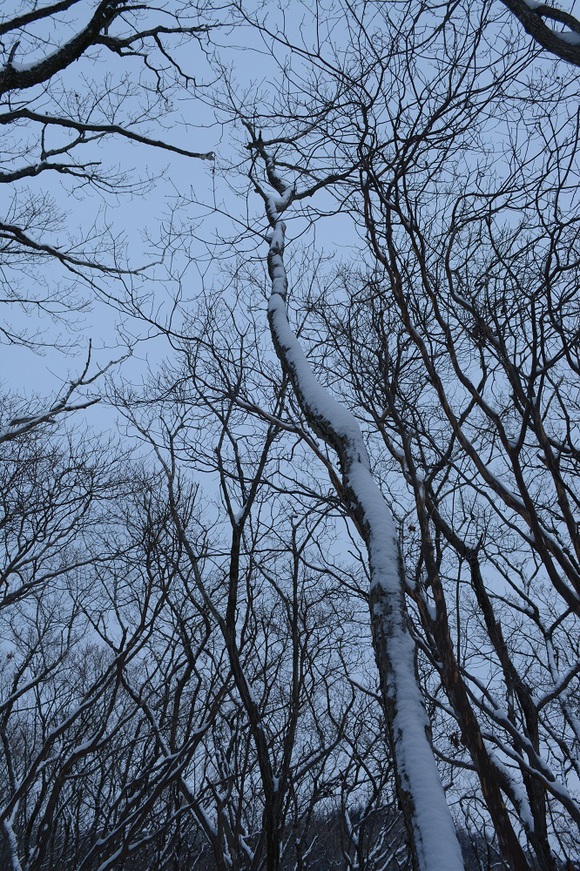 b0277008_7202130.jpg