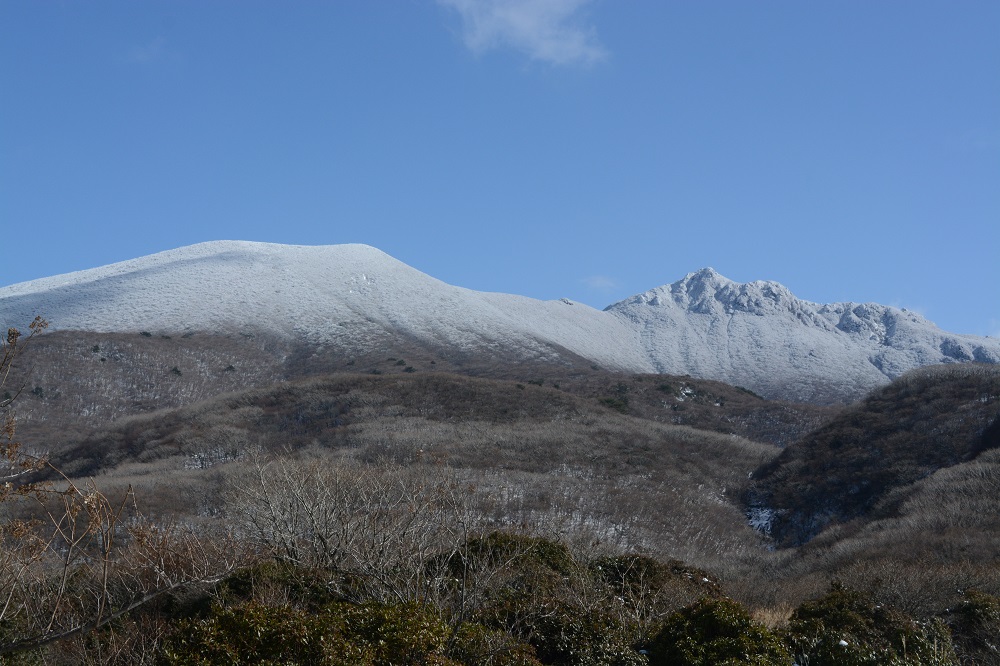 b0277008_7324910.jpg