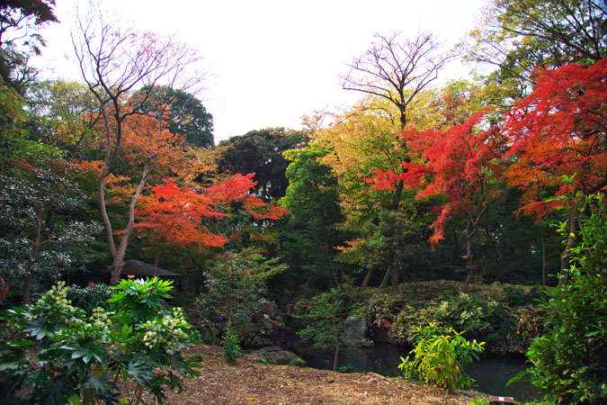 a0263109_20401388.jpg