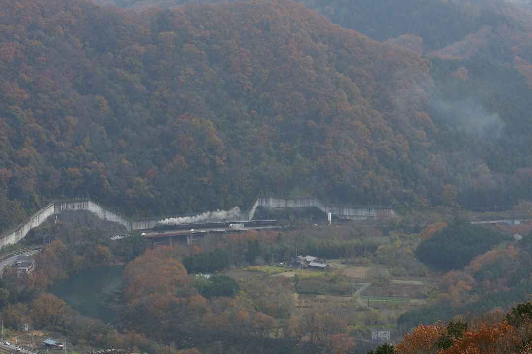 b0190710_21392299.jpg