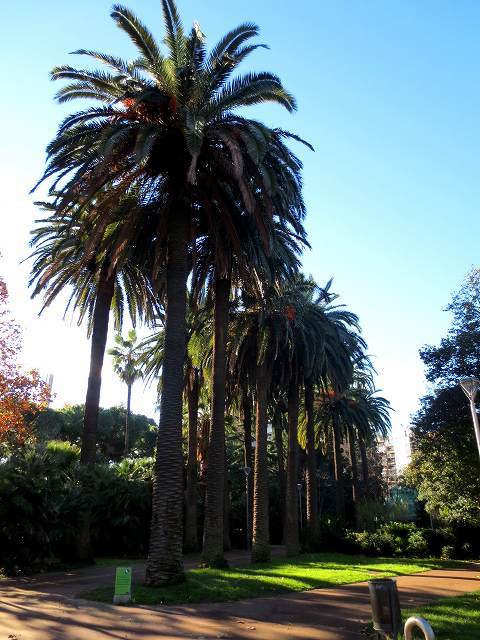 b0064411_04185663.jpg