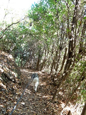 b0207615_22453631.jpg