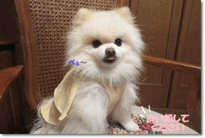 b0167519_0103651.gif