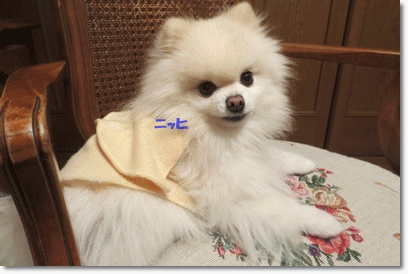 b0167519_0112241.gif