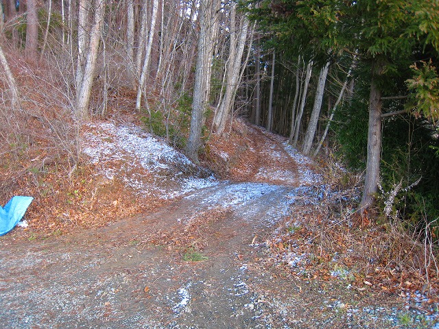 e0002820_10394898.jpg