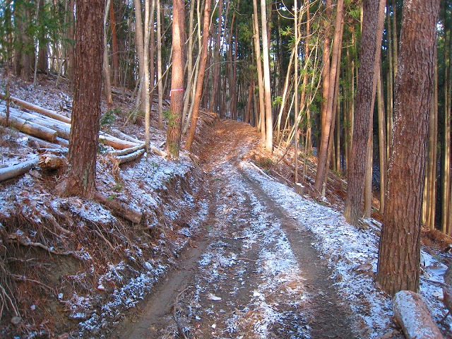 e0002820_10403212.jpg