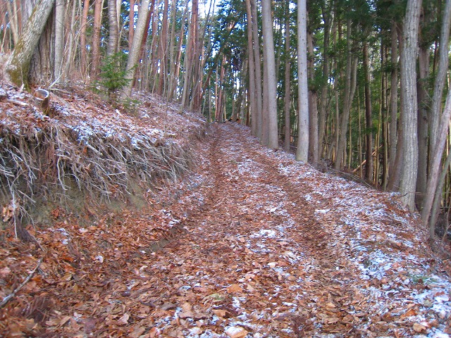 e0002820_1040335.jpg
