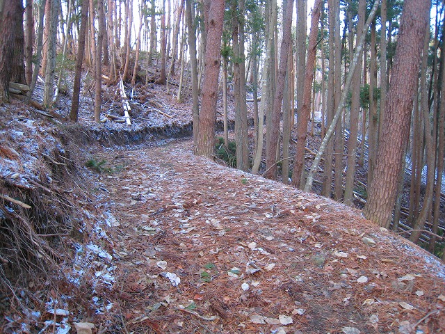 e0002820_10404387.jpg
