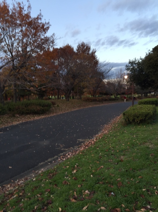 c0087023_19391102.jpg