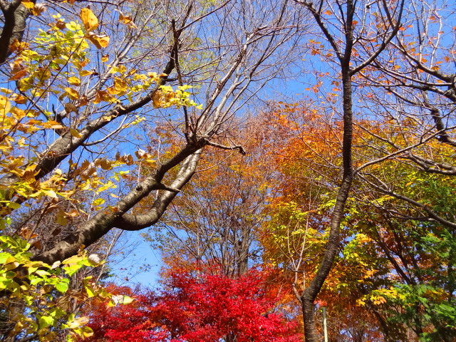 e0016828_11525477.jpg