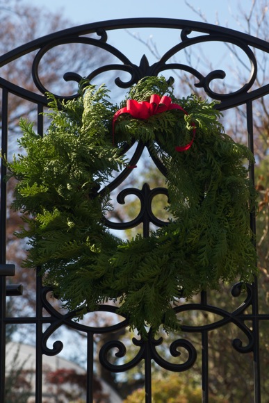 e0021328_20122455.jpg