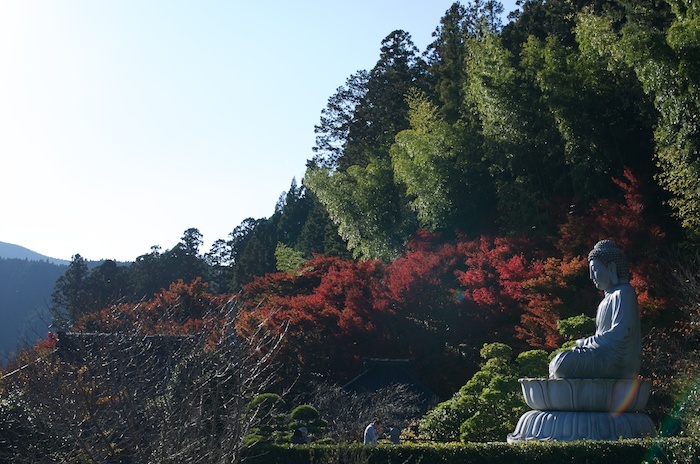 f0324332_23264188.jpg