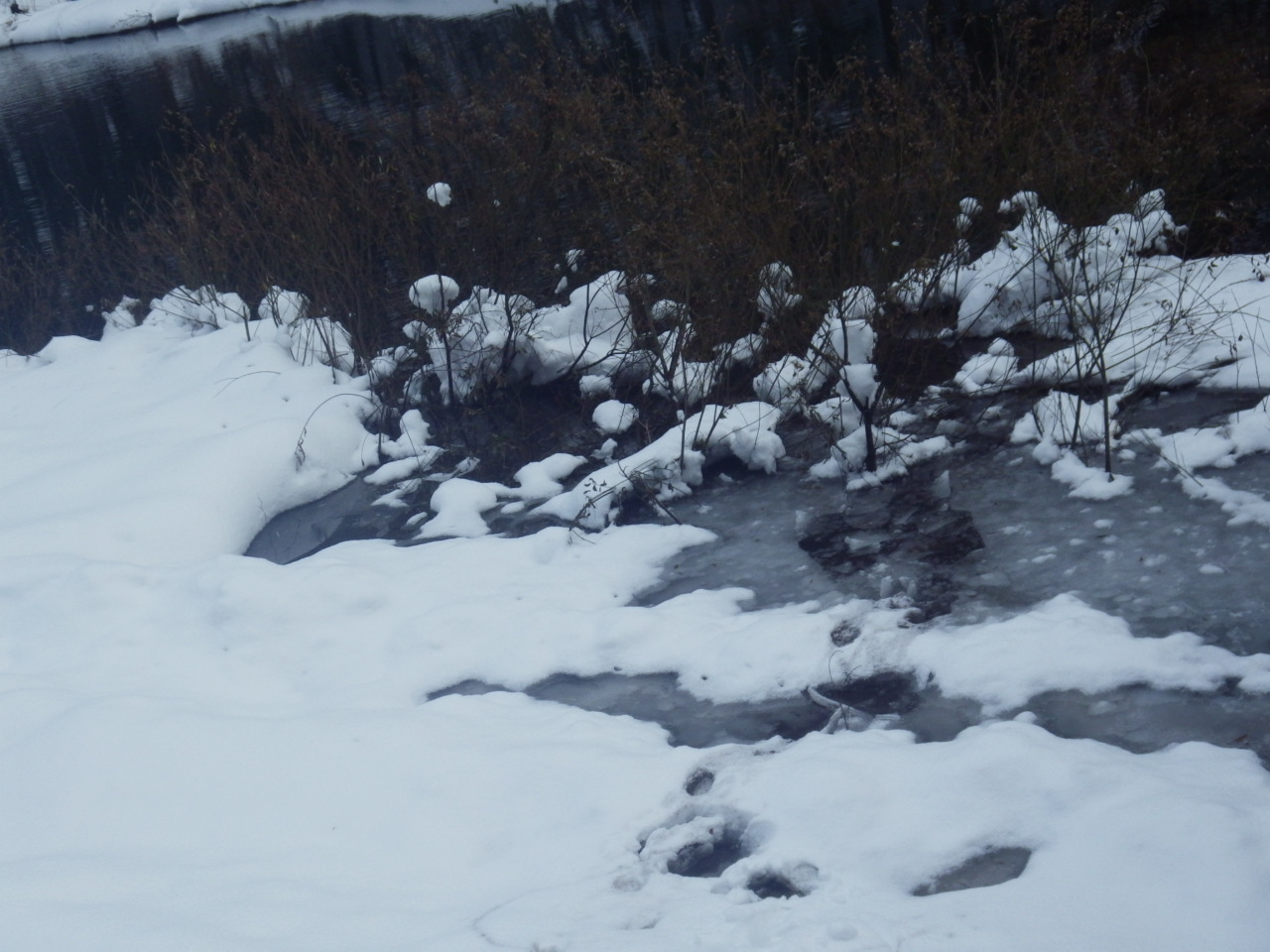 c0300035_16284159.jpg