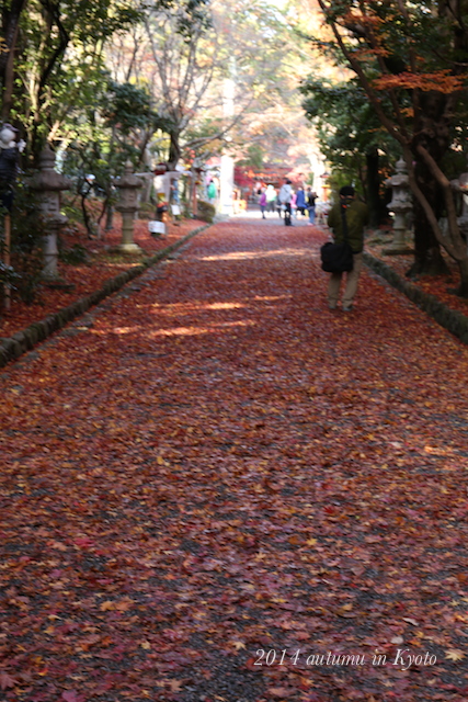 a0207736_23385176.jpg