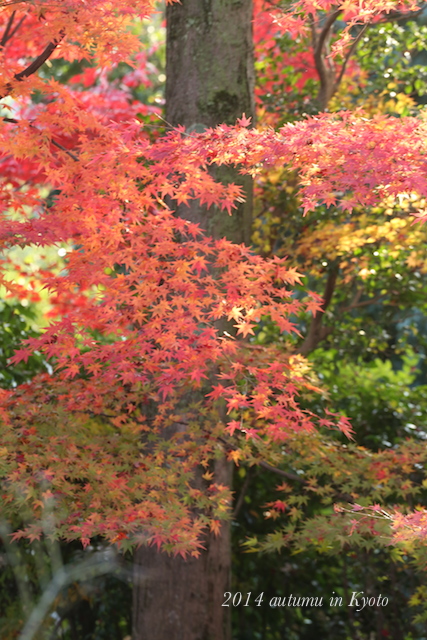 a0207736_234039100.jpg