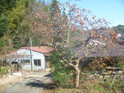 b0246036_180599.jpg