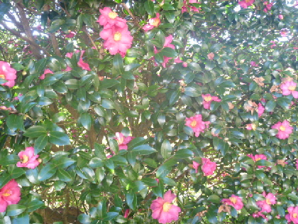 b0246036_1805995.jpg