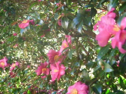 b0246036_1821144.jpg