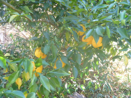 b0246036_186979.jpg