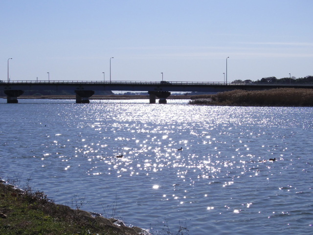 f0300637_16335470.jpg