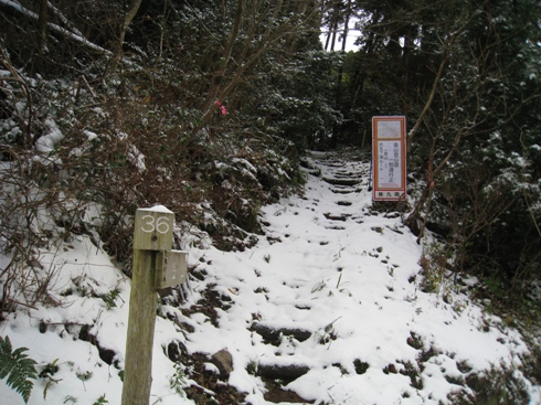 c0077338_5591287.jpg