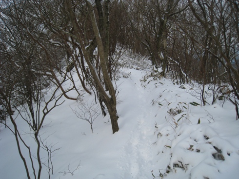 c0077338_559384.jpg