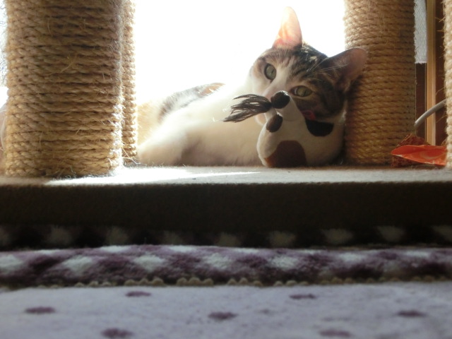 c0194042_18263138.jpg