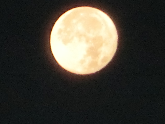 c0194042_2039796.jpg