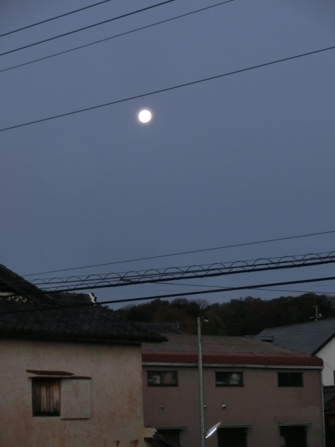 c0194042_2040365.jpg