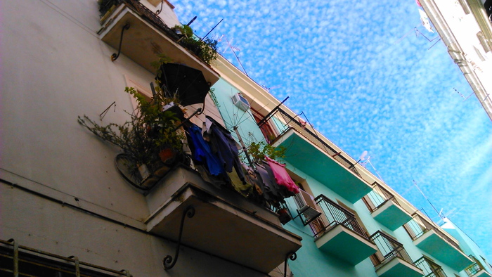 b0309645_8353257.jpg